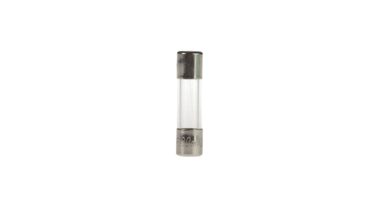 Wkładka aparatowa 5x20mm 100mA F /szybka/ 250V 006710009 /10szt./