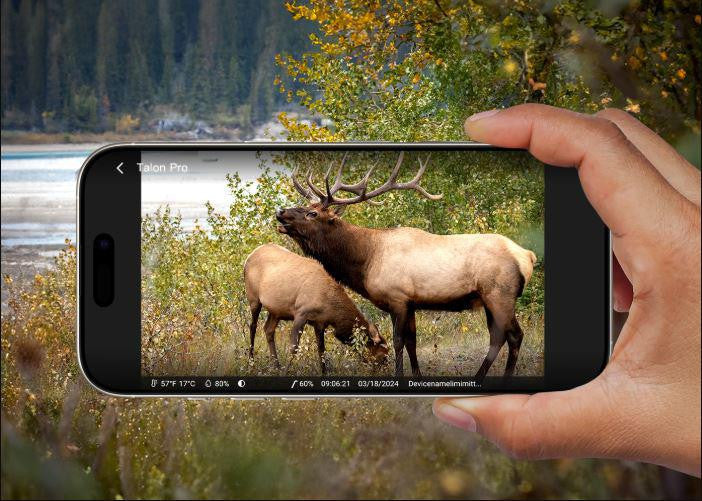Fotopułapka Reolink Camovue 8MP LTE Talon Series S130