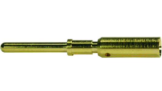 Styk M12 męski złocony 1,5mm 21011009929