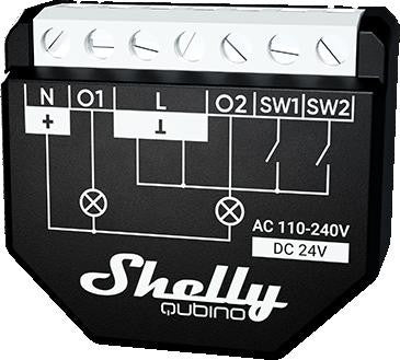 Shelly  Wave 2PM
